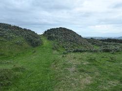 Pilsdon Pen Hillfort